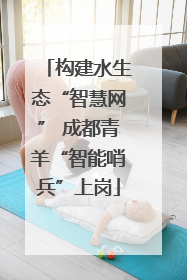 构建水生态“智慧网” 成都青羊“智能哨兵”上岗