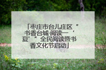 枣庄市台儿庄区“书香台城·阅读一‘夏’”全民阅读暨书香文化节启动