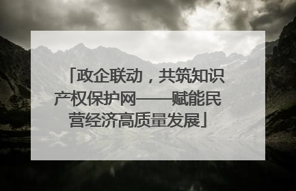 政企联动，共筑知识产权保护网——赋能民营经济高质量发展