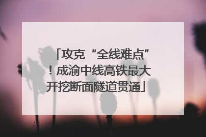攻克“全线难点”！成渝中线高铁最大开挖断面隧道贯通