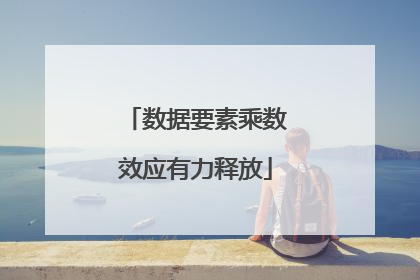数据要素乘数效应有力释放
