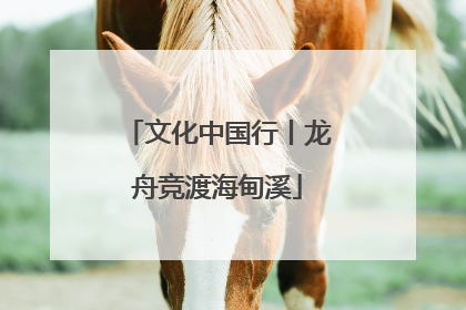 文化中国行丨龙舟竞渡海甸溪