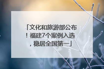 文化和旅游部公布！福建7个案例入选，稳居全国第一