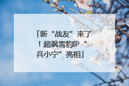 新“战友”来了！超飒雪豹IP“兵小宁”亮相