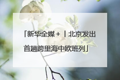新华全媒＋丨北京发出首趟跨里海中欧班列