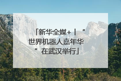 新华全媒+丨“世界机器人嘉年华”在武汉举行