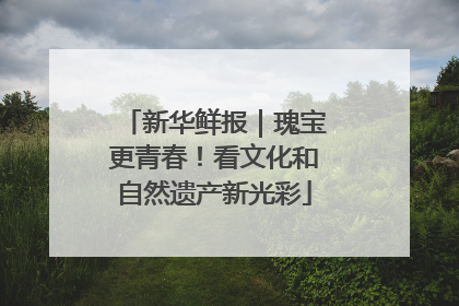 新华鲜报｜瑰宝更青春！看文化和自然遗产新光彩