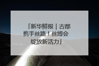 新华鲜报｜古都携手丝路！丝博会绽放新活力