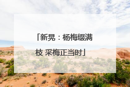 新晃：杨梅缀满枝 采梅正当时