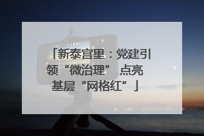 新泰宫里：党建引领“微治理” 点亮基层“网格红”
