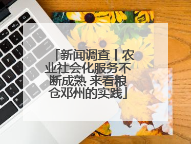 新闻调查丨农业社会化服务不断成熟 来看粮仓邓州的实践