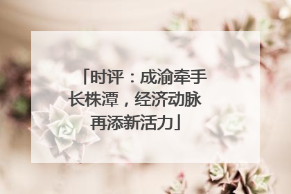 时评：成渝牵手长株潭，经济动脉再添新活力