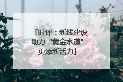 时评：新线建设助力“黄金水道”更添新活力
