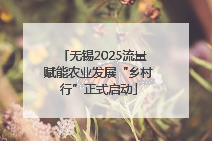 无锡2025流量赋能农业发展“乡村行”正式启动