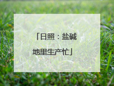 日照：盐碱地里生产忙