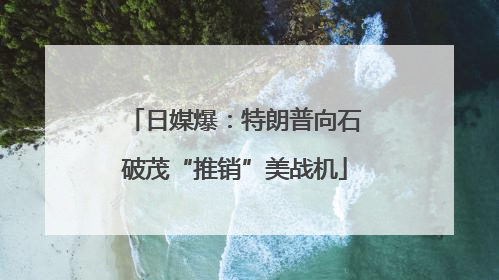 日媒爆：特朗普向石破茂“推销”美战机