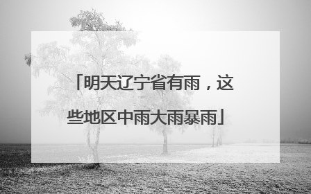明天辽宁省有雨，这些地区中雨大雨暴雨