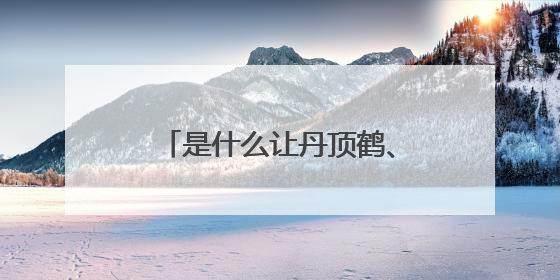 是什么让丹顶鹤、东方白鹳等珍稀鸟类纷纷在此落脚？