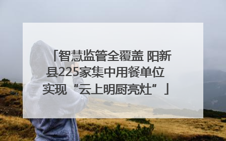 智慧监管全覆盖 阳新县225家集中用餐单位实现“云上明厨亮灶”