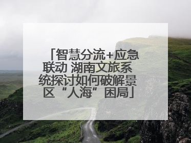 智慧分流+应急联动 湖南文旅系统探讨如何破解景区“人海”困局