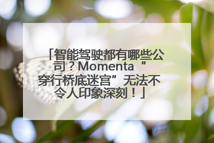 智能驾驶都有哪些公司？Momenta“穿行桥底迷宫”无法不令人印象深刻！