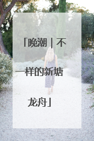 晚潮｜不一样的新塘龙舟