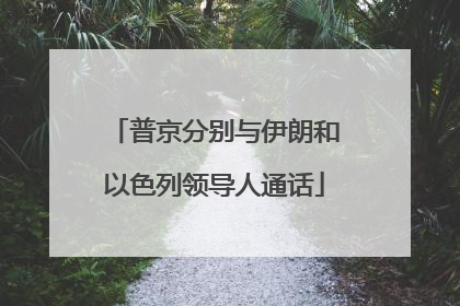普京分别与伊朗和以色列领导人通话