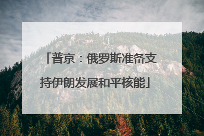 普京：俄罗斯准备支持伊朗发展和平核能