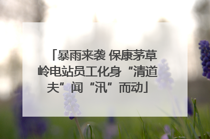 暴雨来袭 保康茅草岭电站员工化身“清道夫”闻“汛”而动