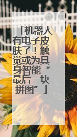 机器人有电子皮肤了！触觉或为具身智能“最后一块拼图”