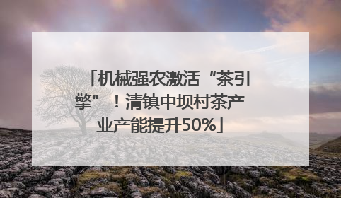 机械强农激活“茶引擎”！清镇中坝村茶产业产能提升50%