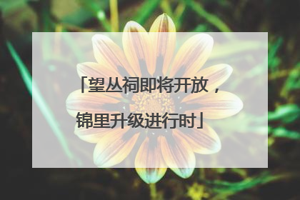 望丛祠即将开放，锦里升级进行时