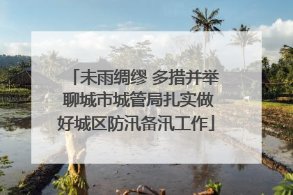 未雨绸缪 多措并举 聊城市城管局扎实做好城区防汛备汛工作