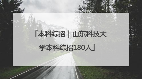 本科综招｜山东科技大学本科综招180人