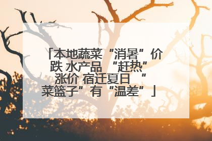 本地蔬菜“消暑”价跌 水产品 “赶热” 涨价 宿迁夏日 “菜篮子”有“温差”