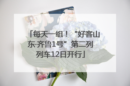 每天一组！“好客山东·齐鲁1号”第二列列车12日开行