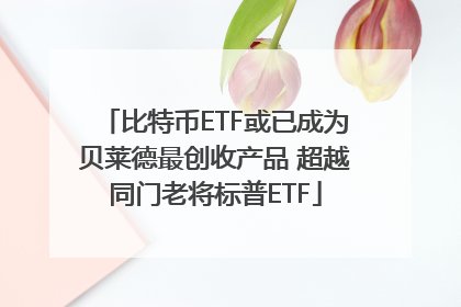比特币ETF或已成为贝莱德最创收产品 超越同门老将标普ETF