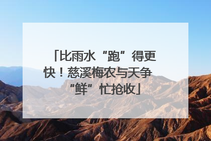 比雨水“跑”得更快！慈溪梅农与天争“鲜”忙抢收