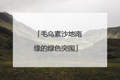 毛乌素沙地南缘的绿色突围