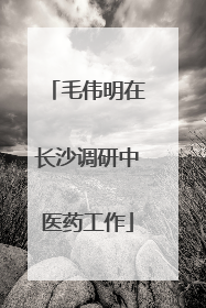 毛伟明在长沙调研中医药工作