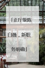 正厅级陈白薇，新职务明确