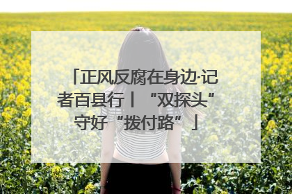 正风反腐在身边·记者百县行丨“双探头”守好“拨付路”