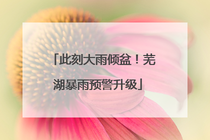 此刻大雨倾盆！芜湖暴雨预警升级