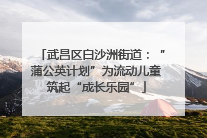 武昌区白沙洲街道：“蒲公英计划”为流动儿童筑起“成长乐园”