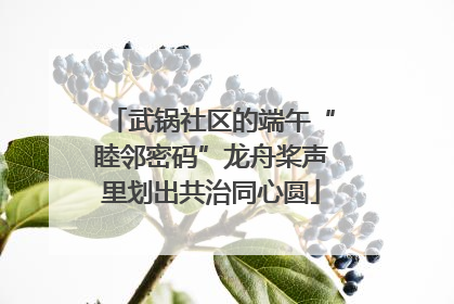 武锅社区的端午“睦邻密码”龙舟桨声里划出共治同心圆