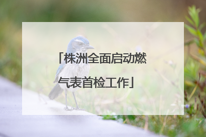 株洲全面启动燃气表首检工作