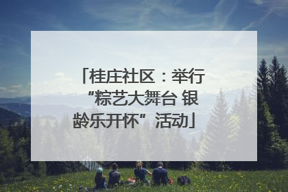 桂庄社区：举行“粽艺大舞台 银龄乐开怀”活动