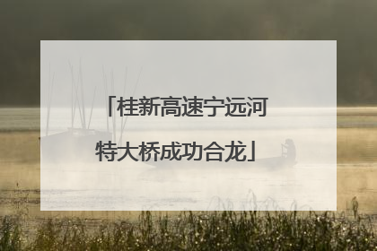 桂新高速宁远河特大桥成功合龙