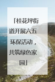 桂花坪街道开展六五环保活动，共筑绿色家园