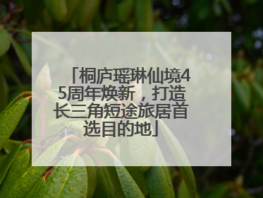 桐庐瑶琳仙境45周年焕新，打造长三角短途旅居首选目的地